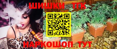 индика Ливны