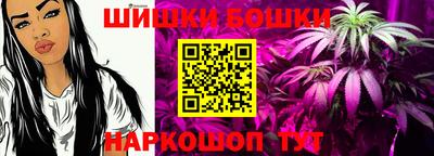 индика Ливны