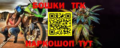 индика Ливны