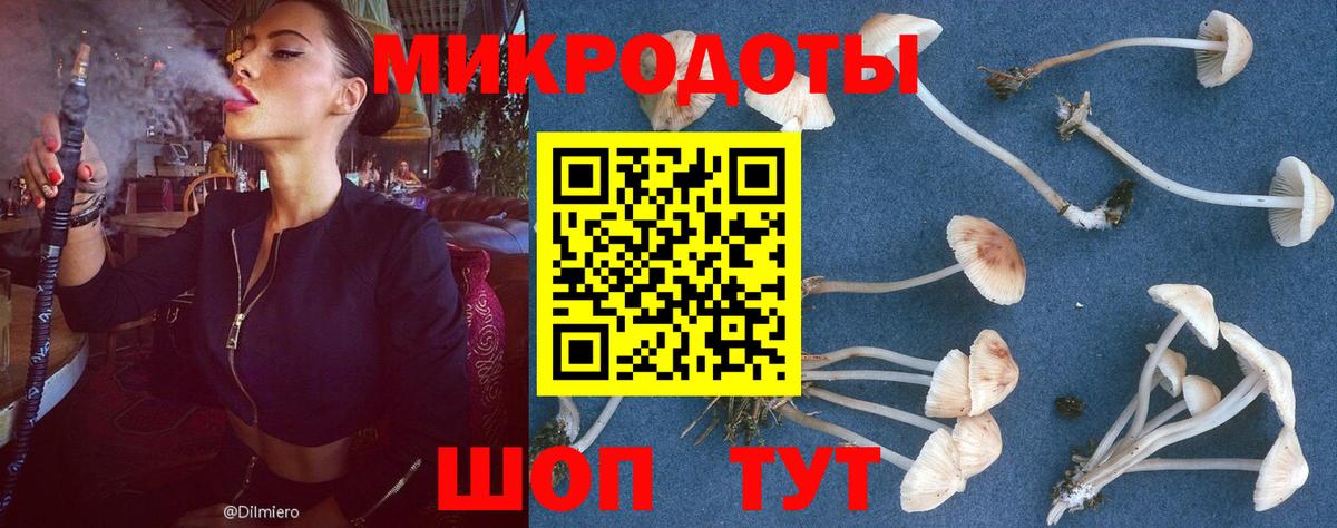 Галлюциногенные грибы Cubensis  Псилоцибиновые грибы мухоморы  Вход с VPN  Каменск-Шахтинский 